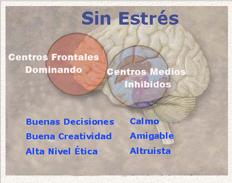 Sin estrs